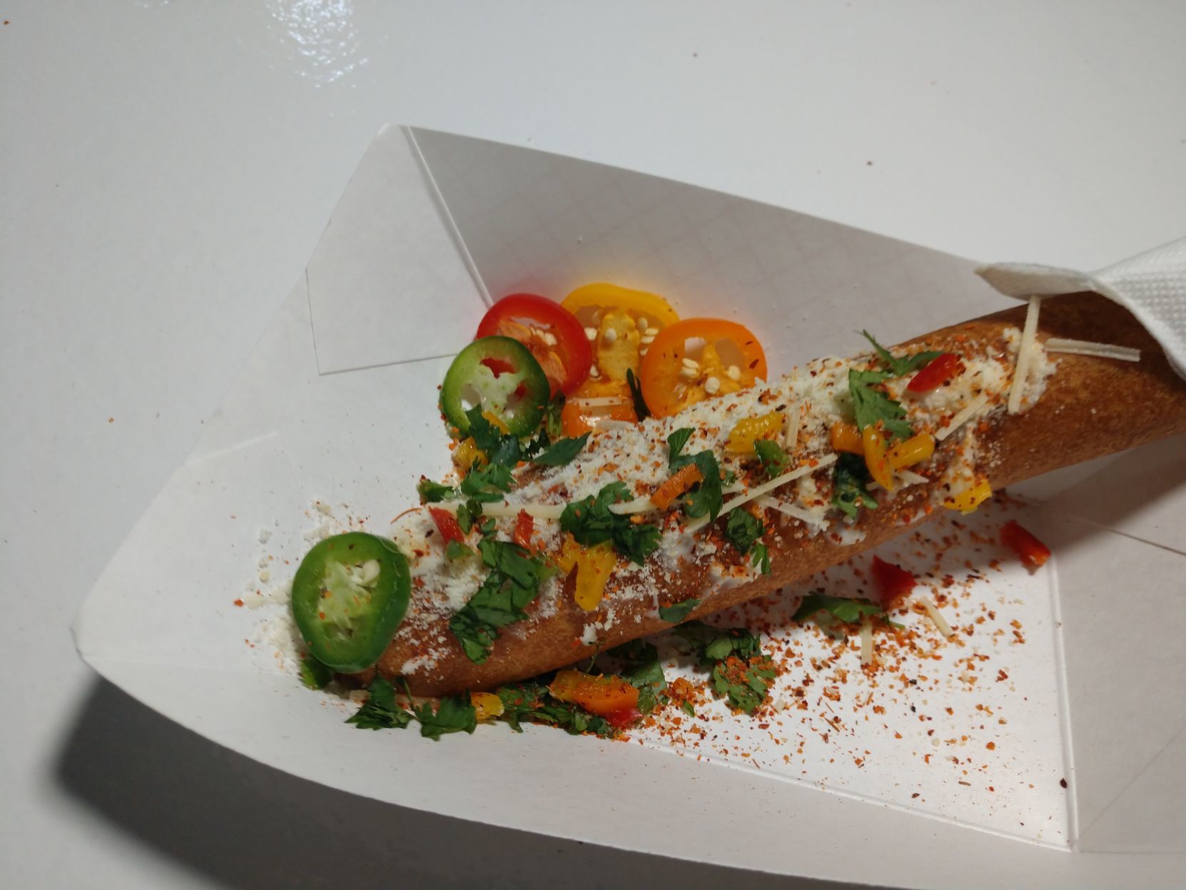 BAJA DOG